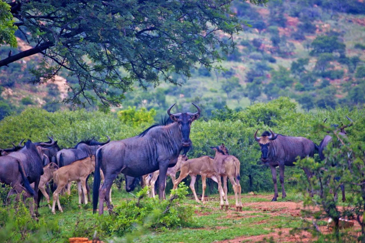 Kedar Heritage Lodge, Conference Centre &
